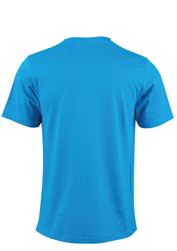 Diving ) Noun) short sleeve cotton tee - Blue