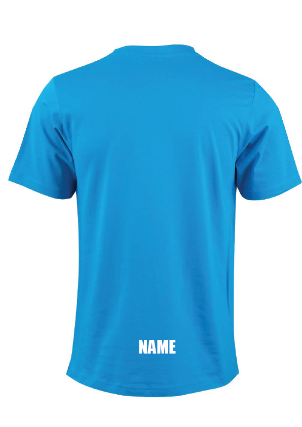 Diving ) Noun) short sleeve cotton tee - Blue
